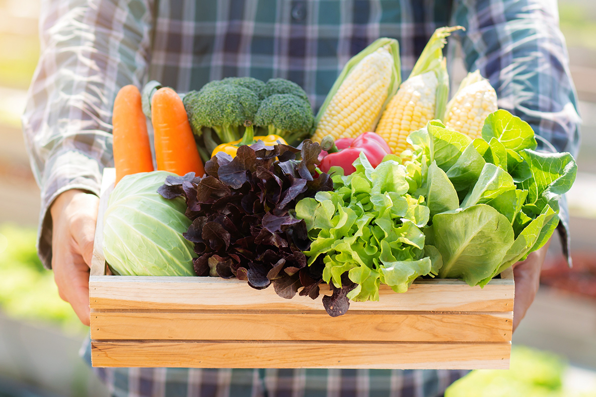 農家なのでわかる農家の気持ち